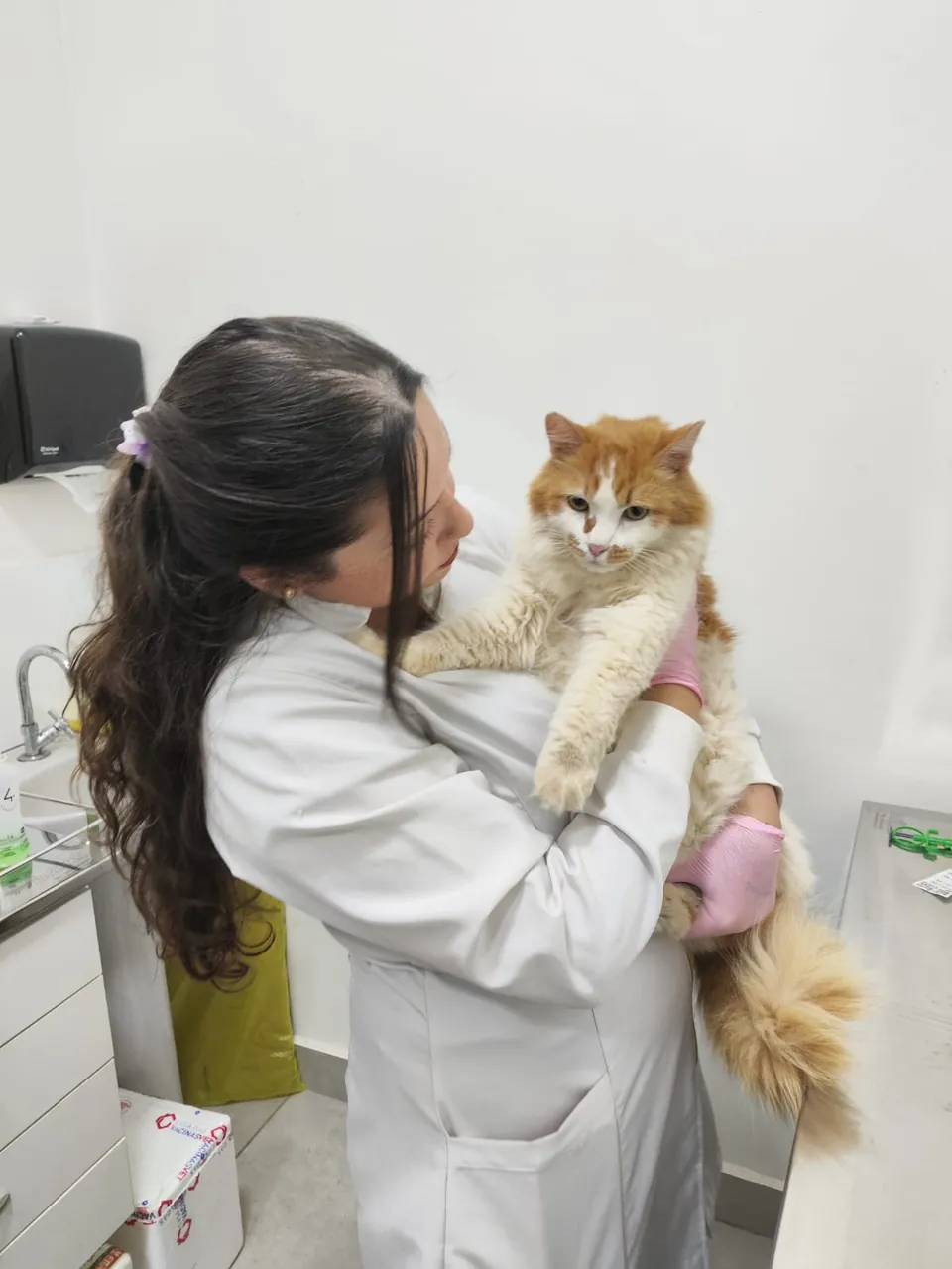 Dra. Vanessa com um gato no colo, no consultório